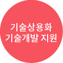 기술상용화 기술개발 지원