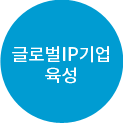 글로벌 IP기업육성