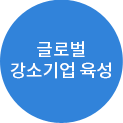 글로벌 성장 지원