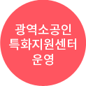 광역소공인특화지원센터 운영